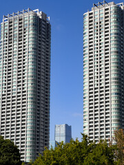 Fototapeta premium 都心散歩 小春日和の浜離宮