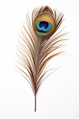 Peacock feather pattern animal.
