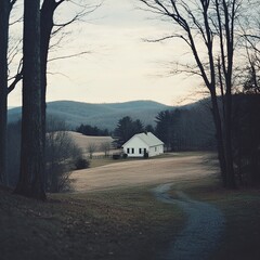 Modern rural home with white exterior and lush garden