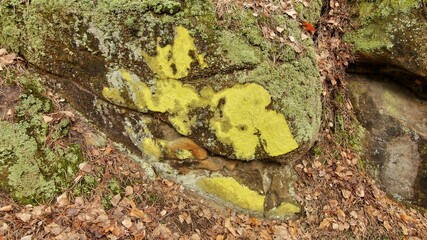 Abstract drawing of sandstone rock structure