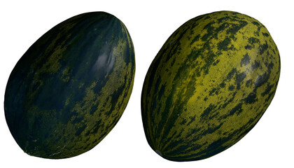 Santa Claus melon Christmas Piel de Sapo isolated on white