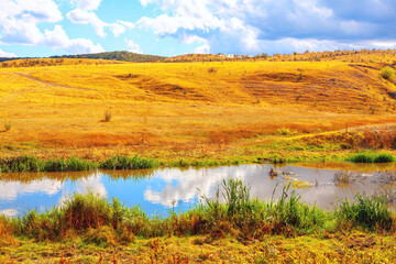 Summer field with a serene pond visible. Dry grass meadow with a calm pond 
