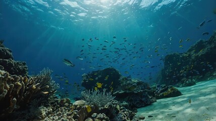 Fototapeta premium face, woman, eyes, beauty, black, model, mask, head, angry, fashion, skin, look, flag, expression, close-up, horror, closeup, boy, halloween, person, scary, people, zombie, evil, eye