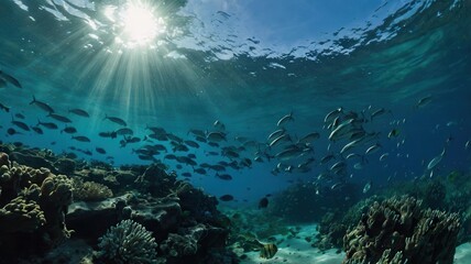 Fototapeta premium face, woman, eyes, beauty, black, model, mask, head, angry, fashion, skin, look, flag, expression, close-up, horror, closeup, boy, halloween, person, scary, people, zombie, evil, eye
