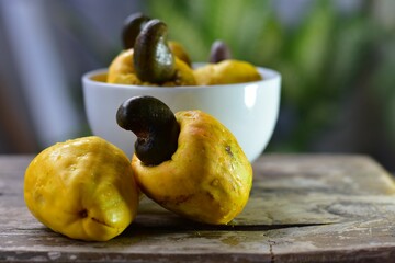 O caju é muitas vezes tido como o fruto do cajueiro (Anacardium occidentale) quando, na verdade,...