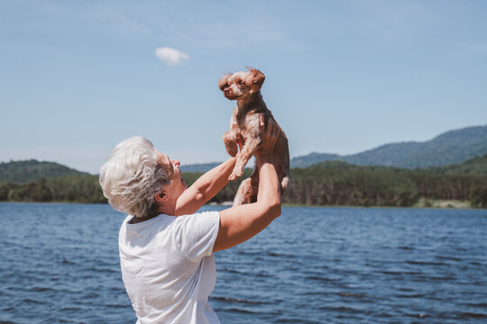 Joyful moment between an elderly woman and her small dog by a peaceful lakeside natural adding to the sense of peace and relaxation holidays concept.