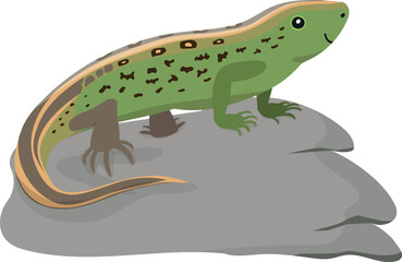 cartoon childish vector illustration of green lizard on rock isolated on white background