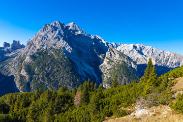Autumn colors in the mountains. Yellow and orange forest tree in the Dolomites, autumn in the Alps beautiful colorful landscape