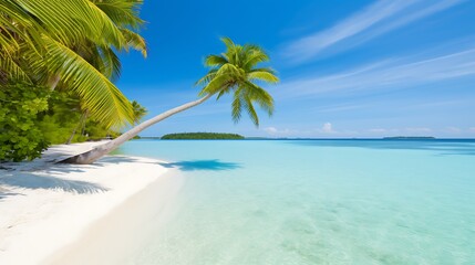 Fototapeta premium Palm Tree Overlooking a Tranquil Tropical Beach with Turquoise Water