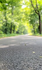 Empty asphalt road winding through a green forest.