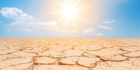 A dry, cracked landscape under a bright sun, illustrating drought and environmental issues.