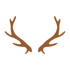 Deer Antlers Hand Drawn Illustration