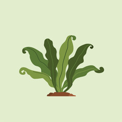 prehistoric plants isolated. dinosaur fern food, Vector illustration Collection of exotic plants.