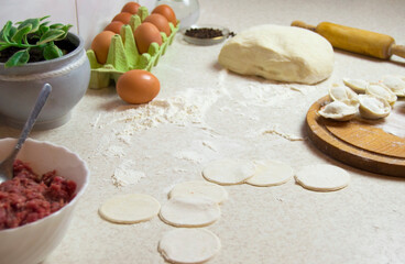Making dumpling. Rolling dough with rolling pin.Jiaozi preparation.