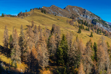 Autumn colors in the mountains. Yellow and orange forest tree in the Dolomites, autumn in the Alps beautiful colorful landscape