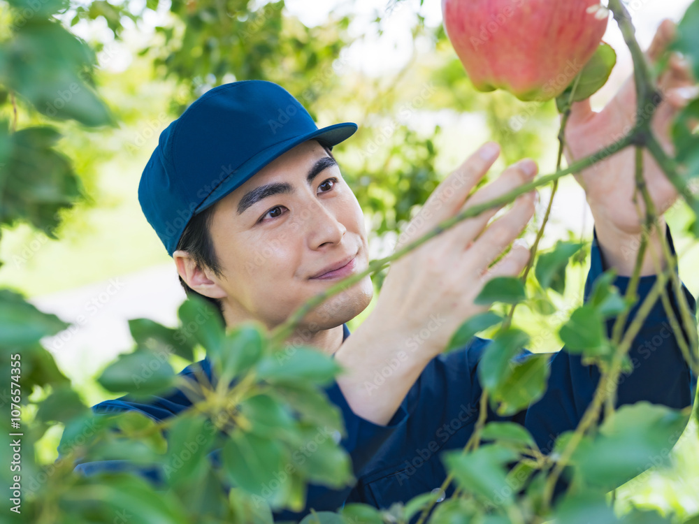 Aufkleber 果樹園、果樹、農家、農業、生産者、リンゴ、男性、栽培、収穫、笑顔、自然、管理、フルーツ、果樹農家、果物、日本人、病気、災害、確認、チェック、りんご、作物、環境、食品、ブランド、生産、農園、観光、リンゴ狩り、成熟、除袋、農協、ふるさと納税、産地直送、作業、作業員、スタッフ、仕事、職業、品種改良、台風、経営、肥料、加工、D2C、豊作、期待、嬉しい、喜ぶ、人物