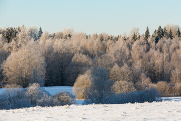 sunny, snowy winter day in the countryside