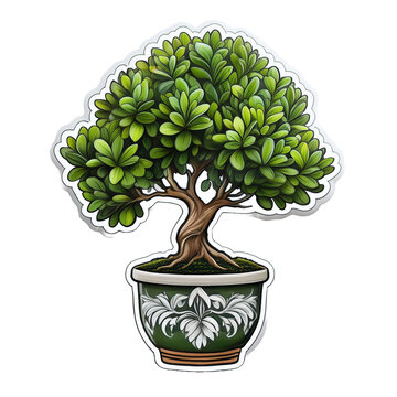 green bonsai tree in decorative pot clip art preview