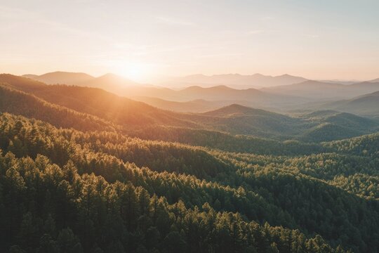 Mountain range with fore at sunset, with the sun setting behind them. 