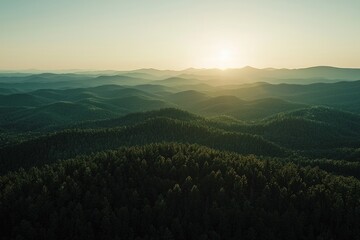 Obraz premium Mountain range with fore at sunset, with the sun setting behind them. 
