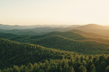 Naklejka premium Mountain range with fore at sunset, with the sun setting behind them. 