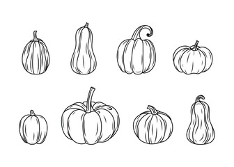 Pumpkins icon set. Thanksgiving Day  silhouette black hand drawn line pumpkins sketch. Vector illustration, traditional Halloween decorative element. Coloring book.