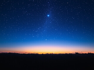 Calm, Star-Filled Dawn Sky with Nature Silhouettes