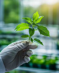 Concept of bioeconomy and green economy.  Close-up of a scientist’s or farmer’s hand holding a small, young plant. Advanced eco-friendly technology, solar panels, wind turbines, biodome.Earth day, eco