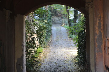 A quiet cobblestone path leads into a serene garden area framed by an archway in early morning light