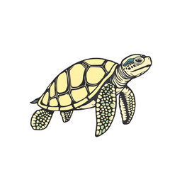 Fototapeta premium This image features a sea turtle with bright yellow and green colors