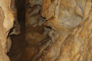 Obraz premium Exploring the unique rock formations inside a limestone cave during a guided tour in the early afternoon