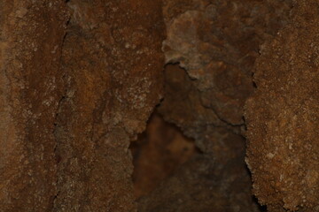Close-up view of rough, textured rock formations found inside a cave during an exploration expedition at a natural site