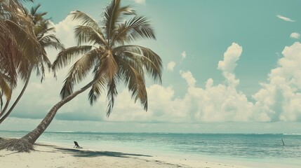 Fototapeta premium Tropical beach with palm trees vintage tones
