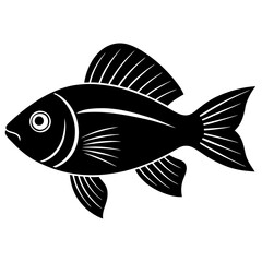 illustration of fish