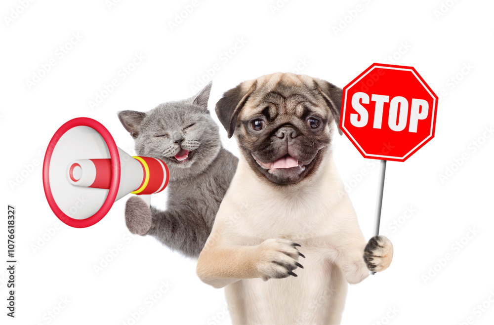 Aufkleber happy cat and pug puppy looks at camera. dog showing stop sign. kitten meowing into the megaphone. i