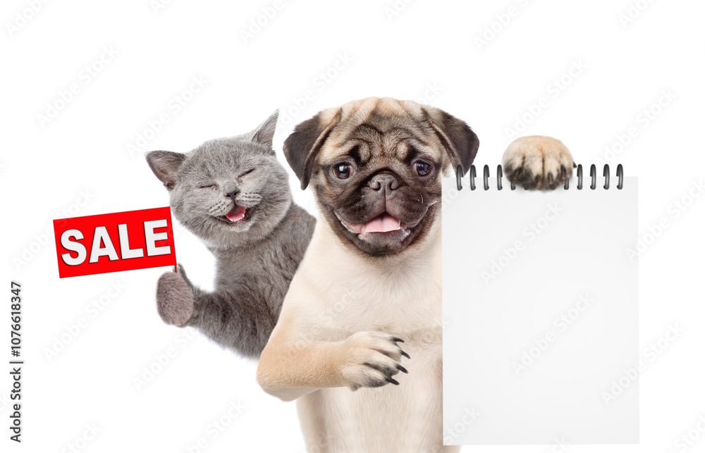 Poster happy cat and pug puppy look at camera. dog shows blank notepad. kitten shows signboard with labeled