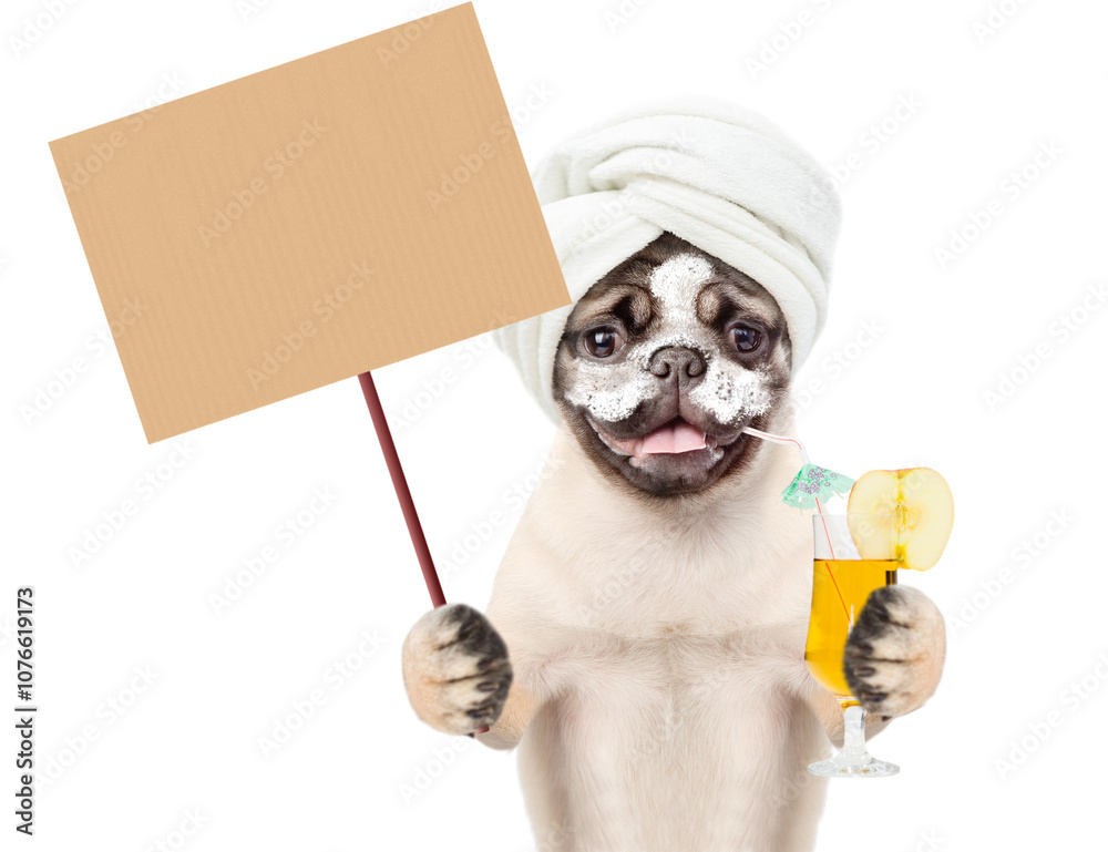 Aufkleber Funny Pug puppy with towel on it head and with cream on it face drinks apple cocktail and shows blank placard. isolated on white background