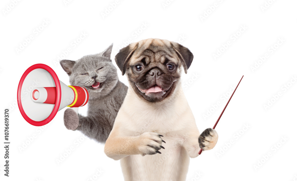 Aufkleber happy cat and pug puppy looks at camera. dog points away on empty space. kitten meowing into the meg