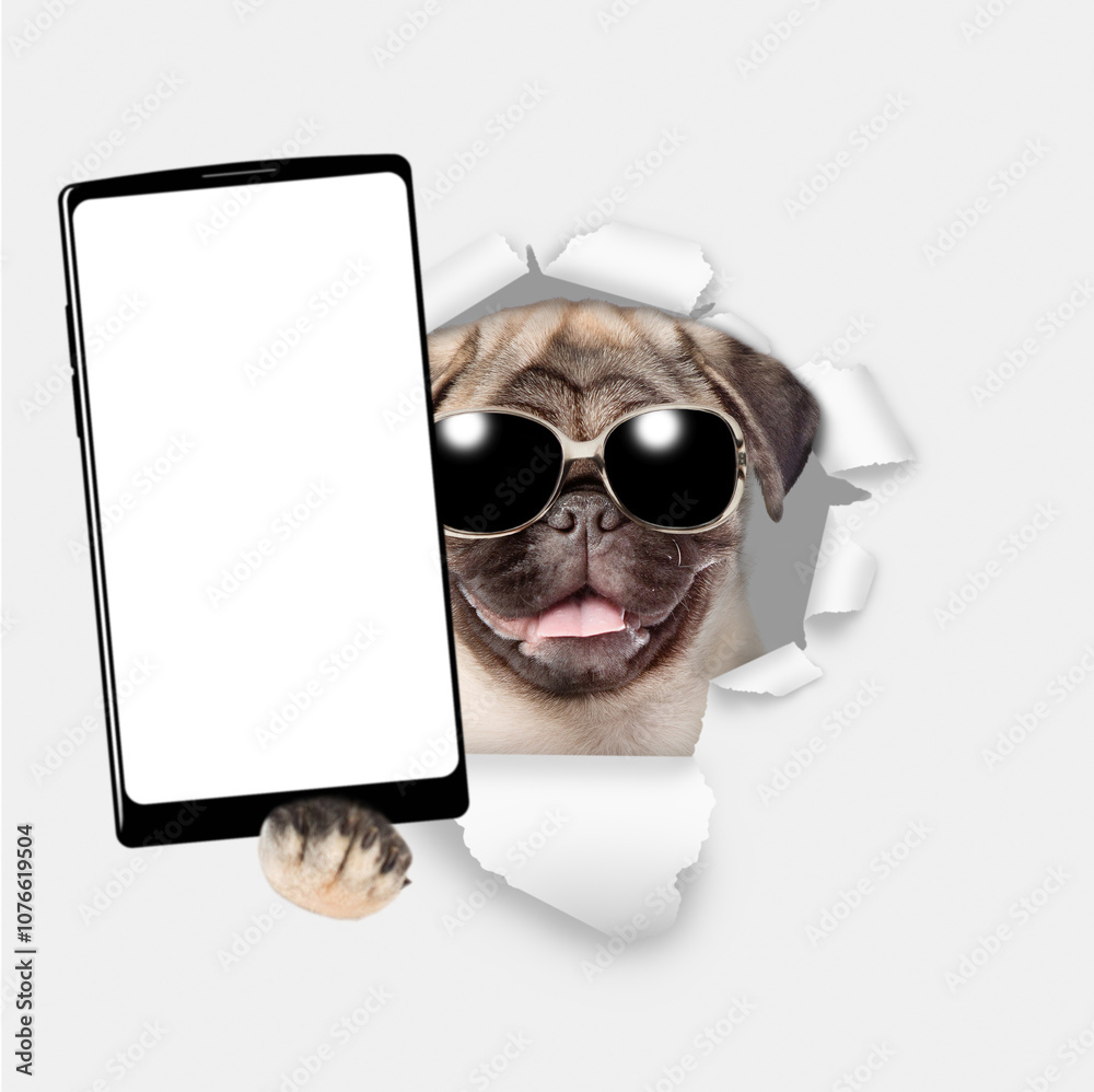Aufkleber happy pug puppy wearing sunglasses holds big smartphone with white blank screen, showing close to ca