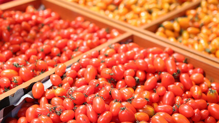 Cherry Tomatoes of different colors Showcased in a Supermarket
