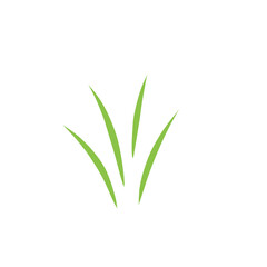 Green grass vector