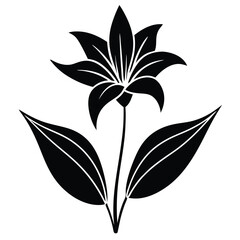 Minimalist Lily Flower Flat Illustration