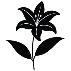 Minimalist Lily Flower Flat Illustration