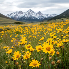 Fototapeta premium Mountain scenery highlighting bright yellow flower field image