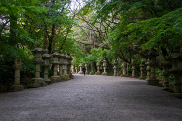 香取神宮の灯篭が続く参道