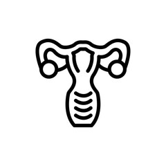 Uterus icon Vector flat thin line illustration