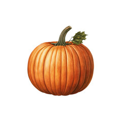 Obraz premium Realistic orange pumpkin with green stem and leaf, perfect for autumn decor
