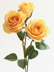 Fototapeta premium Elegant Yellow Roses: A Timeless Decor Choice for Home and Events, Perfect for Gifts, Weddings, and Celebrations, Showcasing the Beauty of Nature in Upscale Settings.