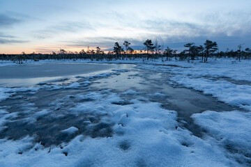 Fototapeta premium swamp on a sunny winter day with snow