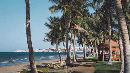 Al Ghubrah beach in Muscat, long lonesome beach, turquoise blue water, green meadow, palm trees and outdoor seating for picnics
